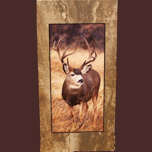Click to view detail for Roxborough Buck 24x12 $180